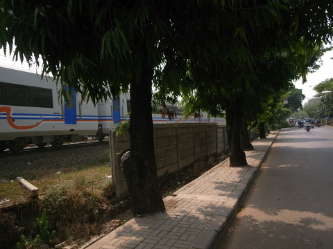 RIMG0048