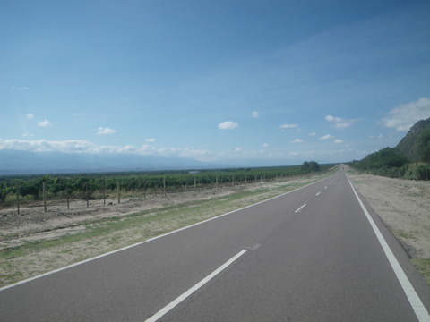 IMGP0123