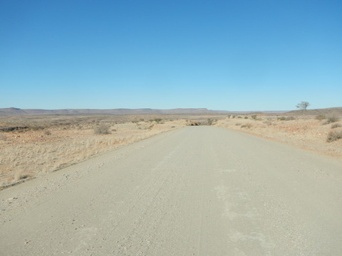 DSCN5413