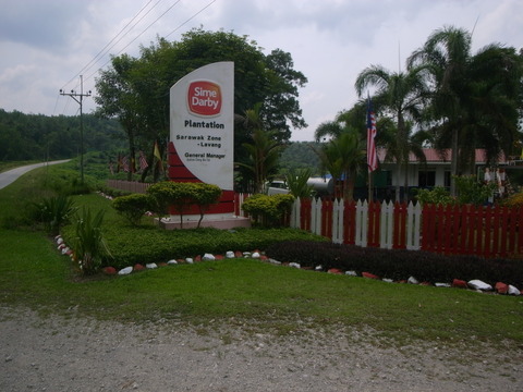 RIMG0011