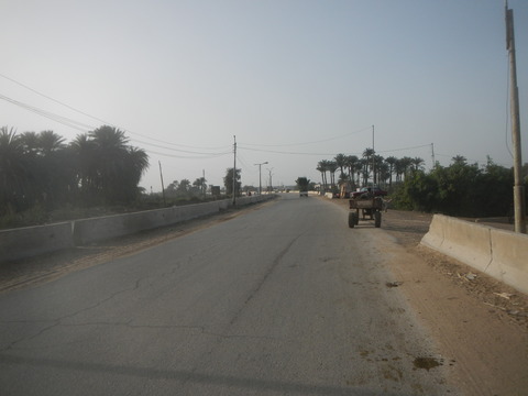 DSCN9591