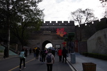 IMGP9895