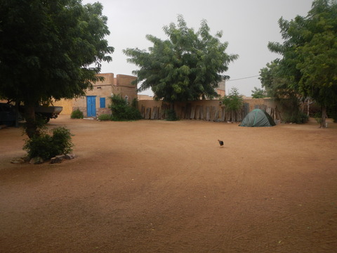 DSCN1286