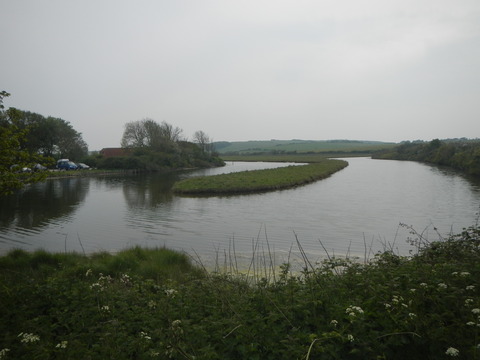 DSCN4614