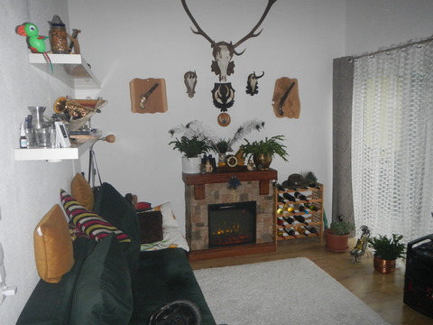 DSCN0882