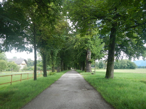 DSCN1017