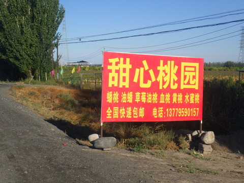 RIMG4415