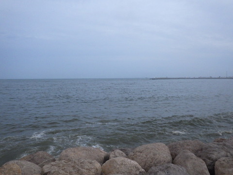 RIMG2562
