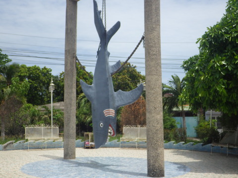 RIMG5373