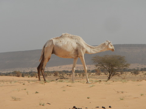 DSCN1265