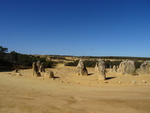 DSC01651