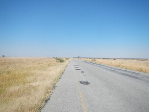 DSCN4658