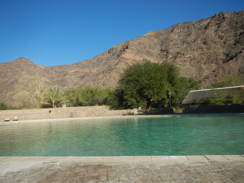 DSCN5617