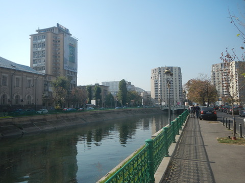 DSCN8522