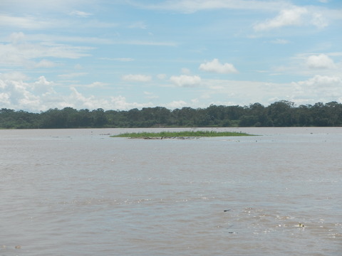 DSCN1624