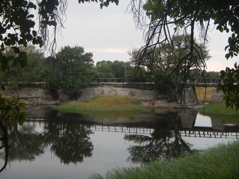 DSCN4735