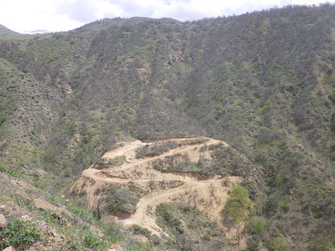 RIMG2682