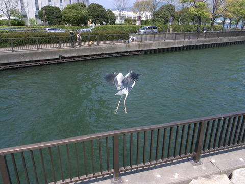 R0045185