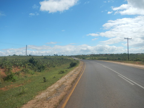 DSCN4018