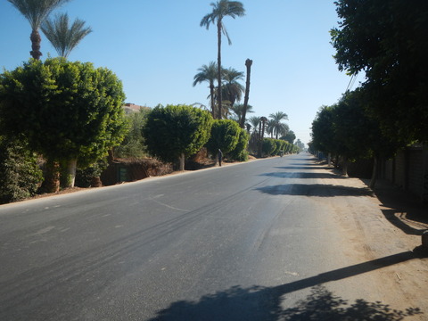 DSCN9675