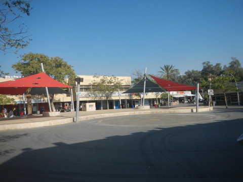 DSCN8974