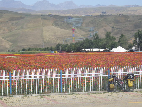 RIMG4275