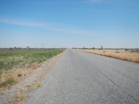 DSCN4671