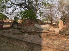 RIMG0108