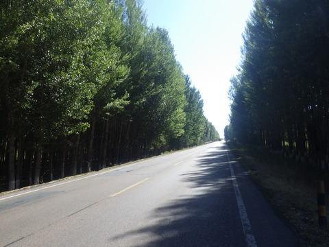RIMG4219