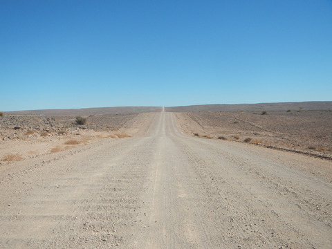 DSCN5543