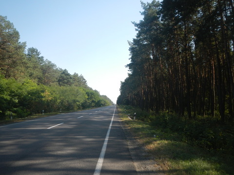 DSCN7760