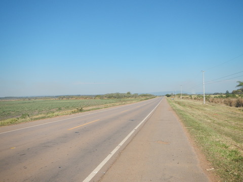 DSCN0333