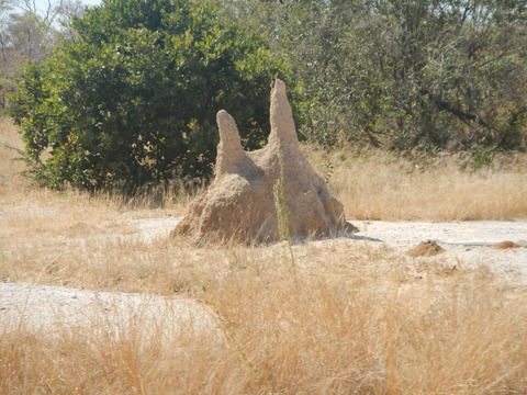DSCN4616