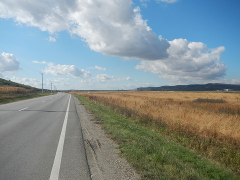 DSCN8353