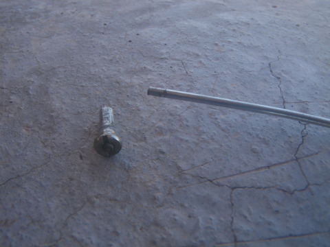 IMGP0215