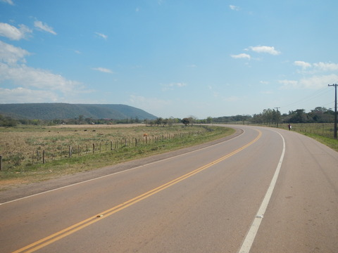 DSCN0338