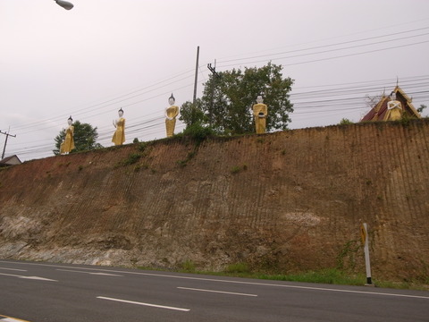 RIMG0024