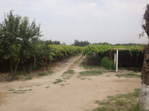 RIMG2902