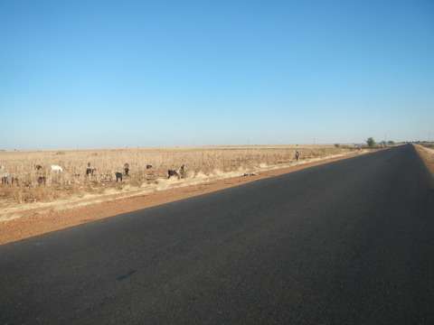 DSCN0075