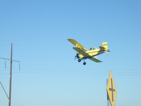 RIMG1782