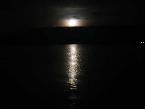 DSCN1602