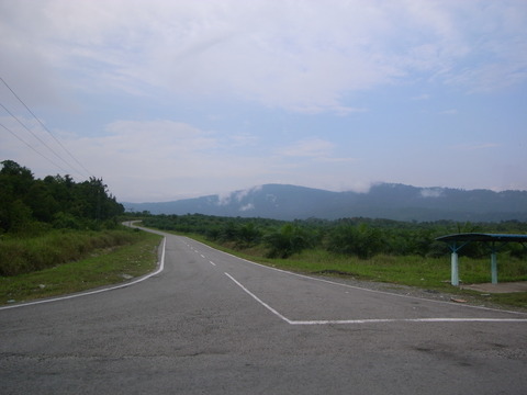 RIMG0033