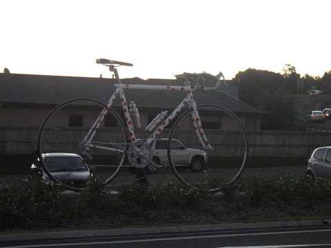 RIMG6764