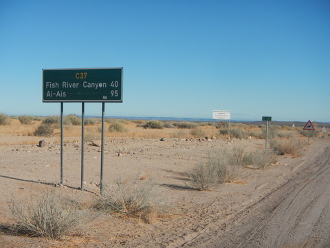 DSCN5518