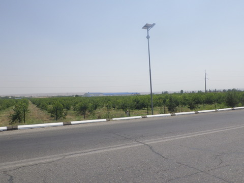 RIMG2883