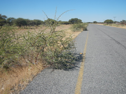 DSCN4777