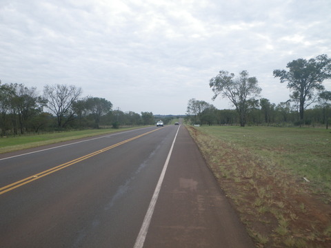 IMGP3376