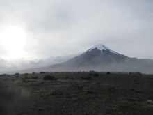 IMG_1456