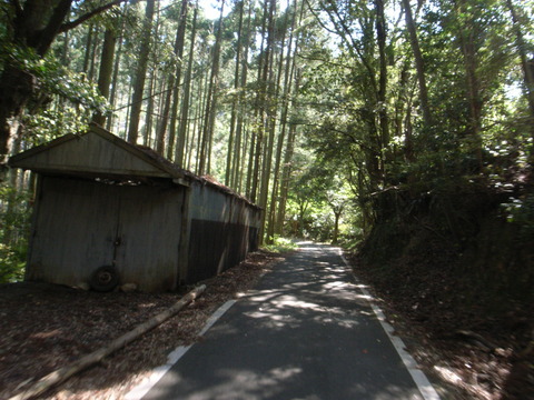 R0045541