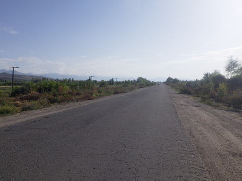 RIMG3456